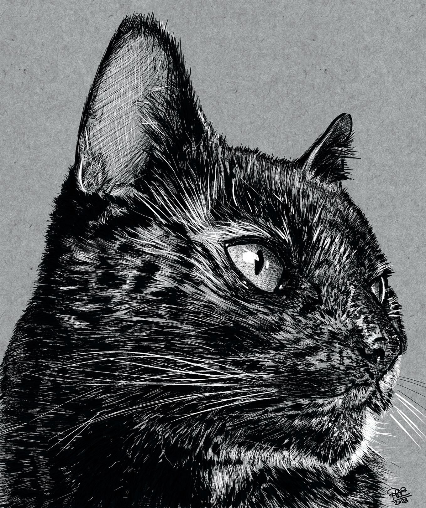 Digital portrait of tortoiseshell cat